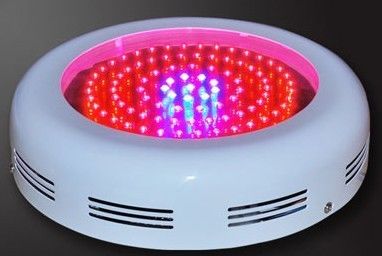 90W-gu Hydroponics และพืชสวนและเรือนกระจกไฟ LED ขยายระบบแสงสำหรับพืชในร่ม