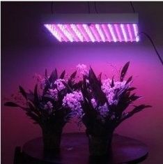 LED Tumbuh Tanaman Cahaya RCG14W untuk Greenhouse Memecahkan The Pembuangan Panas Profesional, membantu staf