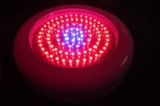 ไฟ LED ที่ดีที่สุดขยายโรงงานหลอดไฟ RCGOFU 90W (90x1W) สำหรับเรือนกระจก