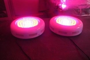 ไฟ LED ที่ดีที่สุดขยายโรงงานหลอดไฟ RCGOFU 90W (90x1W) สำหรับเรือนกระจก