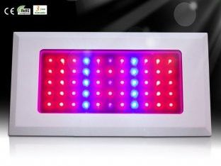 داغ قیمت هیدروپونیک و گلخانه باغبانی LED رشد گیاه نور RCG55 * 3W