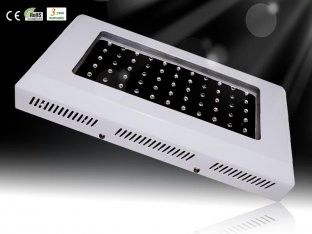 داغ قیمت هیدروپونیک و گلخانه باغبانی LED رشد گیاه نور RCG55 * 3W