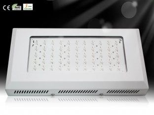 داغ قیمت هیدروپونیک و گلخانه باغبانی LED رشد گیاه نور RCG55 * 3W