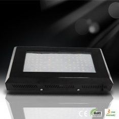 Yeni enerji tasarruflu sera RCG80 * 3W/630mA LED Grow bitki ışık Satılık