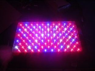 Ucuz kırmızı LED Grow ışıklar RCG100 bitki * Bahçe Bitkileri sera için 3W