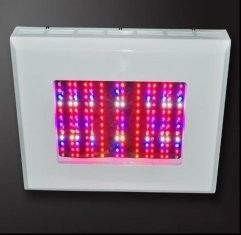 Ucuz kırmızı LED Grow ışıklar RCG100 bitki * Bahçe Bitkileri sera için 3W
