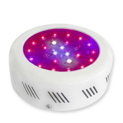 ดอกพืช LED เติบโตเจริญเติบโตของพืชแสง 3watt ด้วย 50000 ชั่วโมงอายุยาว