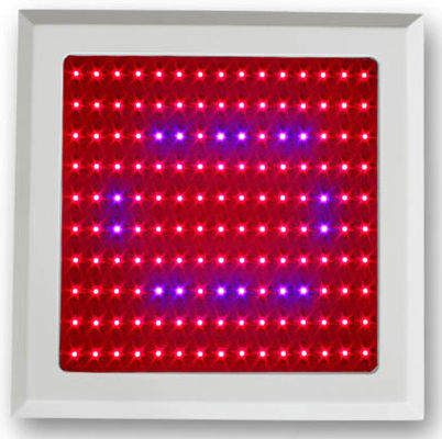 150W LED گیاه رشد طیف نور قرمز آبی برای سبزیجات ریخته و آوانگارد گیاهی