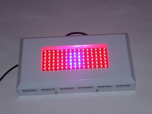 고성능 Hydroponic LED는 Lightst 1watt AC 85를 성장합니다 ~ 264V의 온실은 빛을 성장합니다
