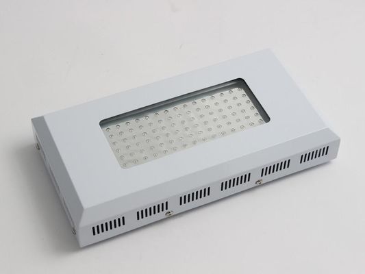 높은 조명 효과 LED 식물은 성장을 위한 가벼운 90w, 파랗고 및 빨강 LED 빛을 성장합니다