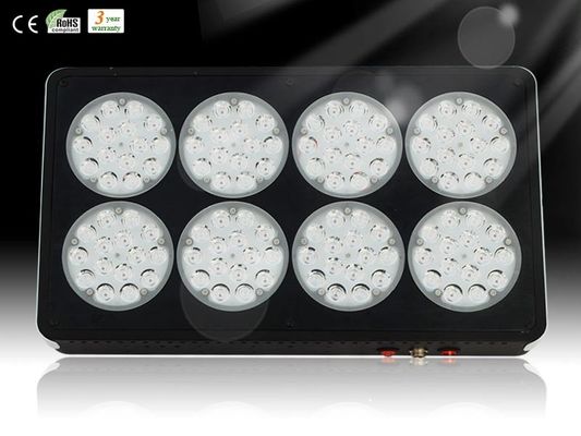 보다 효율적인 3W LED 온실 rcapo8에 대 한 공장 조명 성장
