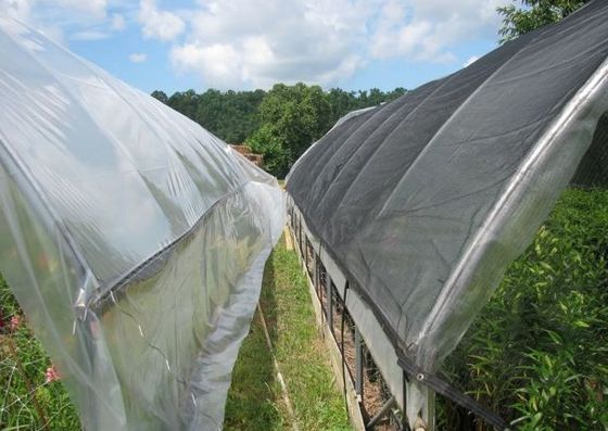 Schwarze Plastikgewächshaus-Schatten-Filetarbeit für Landwirtschaft, 4 x 100m