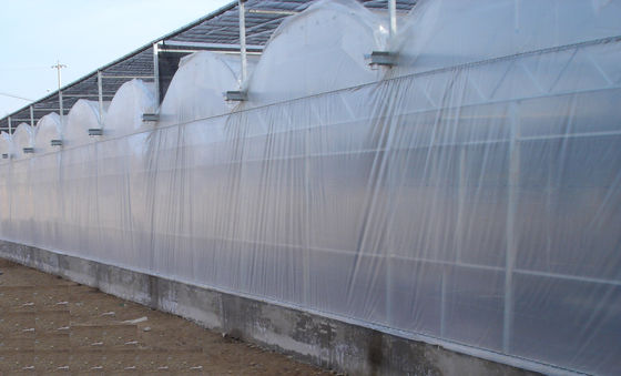 9600mm khoảng kính thương mại, phim lạm phát không khí 4000mm phần Venlo nhà kính