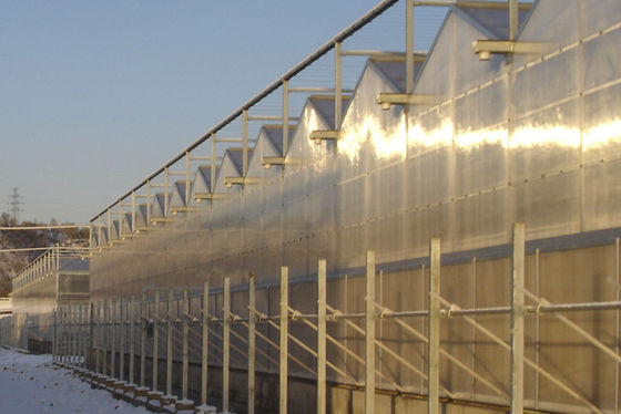 Ticari alanlar için 10800 mm span polikarbonat sera başına 3 sırt