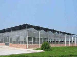 стеклянный парник