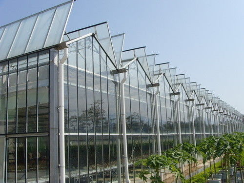 Glasgewächshaus