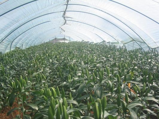 hdpe uvioresistant  greenhouse shade net in china