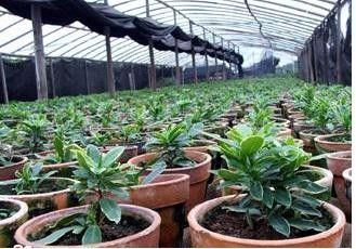 hdpe uvioresistant  greenhouse shade net in china
