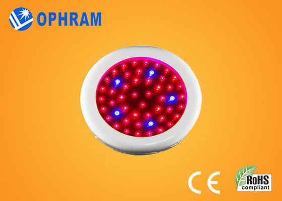 Οι πλήρεις οδηγήσεις φάσματος Epistar IP20 50W αυξάνονται τα φω'τα για τα λουλούδια AC85-265V
