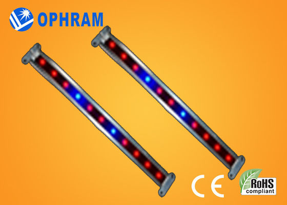 10W SMD 2835 Gemüse-/blühende LED wachsen Lichter mit Öffnungswinkel 180°