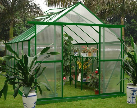 Đôi Cửa 10mm UV Twin-tường Polycarbonate Sở thích Trang chủ Nhà kính Kits 8 &#39;X 12&#39;