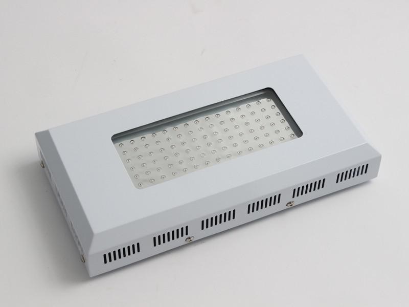 높은 조명 효과 LED 식물은 성장을 위한 가벼운 90w, 파랗고 및 빨강 LED 빛을 성장합니다