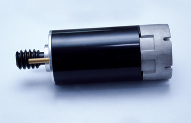 65mm çap DC kapı açıcıları dayanıklı / otomatik kapı motoru için motoru fırçalanmış