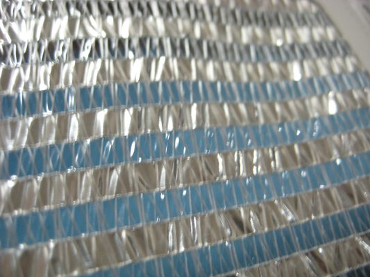 Gewächshaus-Schattenfiletarbeit der Gemüseheizung energiesparende mit Plastikstreifen