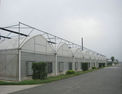 Plastikfilm-Handelsgewächshäuser 4000mm Abschnitts, 8000mm Spanne